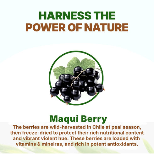 100% 16 (1 lb) Go Nutra Organic Maqui Berry Powder | Maqui Superfood Freeze-Dried for Nutrition & Flavor | Chile Grown