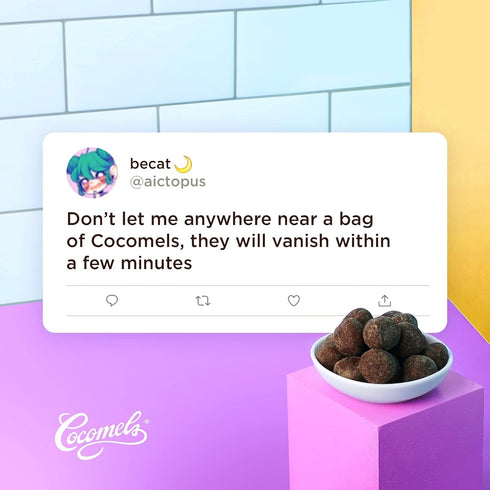3.5 (Pack 6) Cocomels Chocolate-Covered Sea Salt Coconut Milk Caramel Bites Organic Vegan Candy, Sea Salt, Ounce