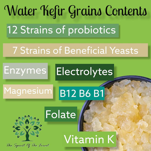 The Spirit Of The Forest Live DORMANT ENDLESS Fresh Water Kefir Grains DIY Fermented Probiotic Drink Enhances Gut