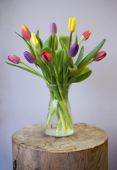 (10 KaBloom - Assorted Tulip Bouquet from Holland Stems) with Vase - Fresh Flowers for Birthday, Valentine's & Mother's