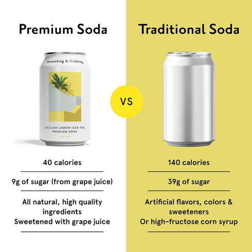 Pack 12 Oz (Pack 12) Something & Nothing Variety Flavoured Sparkling Water | Lightly Carbonated, Full Flavoured
