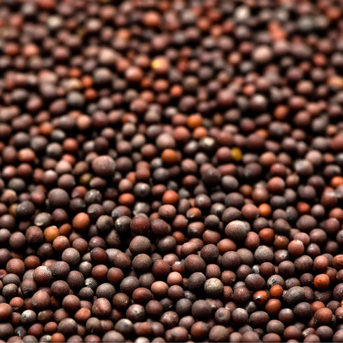 11.2 oz, GranAroma Brown Mustard Seeds, Strong Flavor, Condiments & Sauces, Versatile Seeds