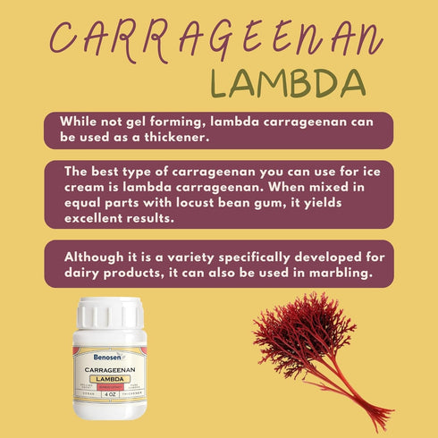 benosen 4 oz 4 oz Ice-Cream Stabilizer Duo Locust Bean Gum + Carrageenan Lambda | Smooth Scoopable Texture for Ice