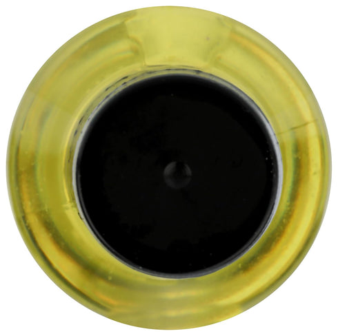 SCOTTS FOOD PRODUCTS 10 SCOTTS FOOD Garlic Oil, FZ