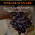 8.5Fl.Oz Ponti Rich & Creamy Balsamic Vinegar of Modena - Made for Rich Density and Lingering Flavor - Delizioso Paired
