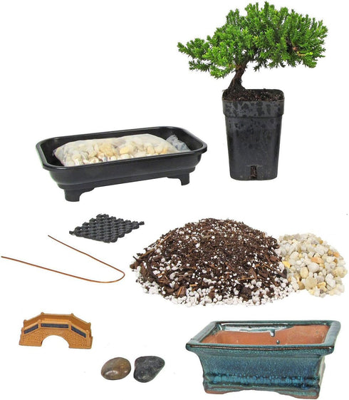 Eve's Garden, Inc Eve's Deluxe Bonsai Tree Starter Kit, Complete Do-It-Yourself Kit with 4 Year