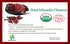 Nature Organic Schisandra Berries, Dried Loose Bulk Herbs for Tea, 4 Ounce Pack