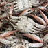 Captain Sid's Seafood Boil Blend 5G 20-30lbs 2.87lbs Captain Sids Boil Blend (Boils of Seafood & Sides)