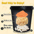 2 KINIKORA Premium Instant Rabokki Cup - Cheese Flavor, Cups, Korean Ramen & Tteokbokki, Quick and Easy Street Food