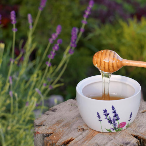 6 LBS Bulk Honey - - Half Gallon of Raw Honey - Raw Wildflower