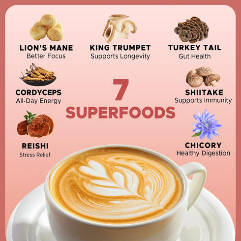 6 Immunity, 30 JUYIHEAL Mushroom Chicory, Mushroom Chicory Coffee Mushrooms with Chicory Root for Energy, Focus