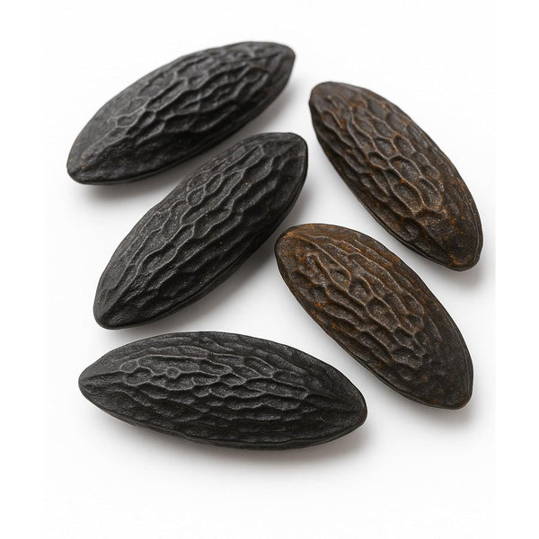 Motherland Goods Whole Tonka Beans Premium Grade Cumaru Kumaru Pods (Dipteryx Odorata) 100% Raw