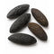 Motherland Goods Whole Tonka Beans Premium Grade Cumaru Kumaru Pods (Dipteryx Odorata) 100% Raw