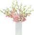 20 Vibrant Pink Dendrobium Orchids - Perfect Gift for Any Occasion