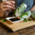 (2-Pack) Date Lady Organic Sweet Chili Sauce | No Corn Syrup or Cane Sugar | No Added Flavors or MSG Use in Stir Fry