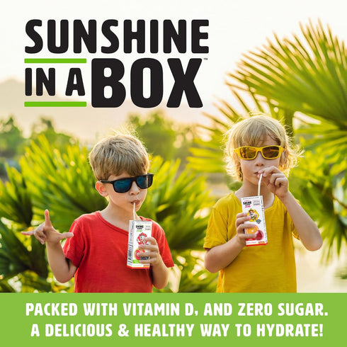 32-Pack Shine Water x Paw Patrol Apple Berry Juice Boxes with Vitamin D | No Added Sugar | Naturally Flavored Drinks