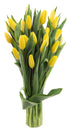 Blooms2Door PRIME NEXT DAY DELIVERY - 20 Yellow Tulips .Gift for Birthday,