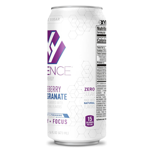 16 oz (Pack 12) Xyience Blueberry Pomegranate Energy Drink, fl can