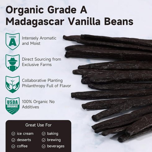 25 Counts SPICEEL Organic Madagascar Vanilla Beans Grade A Vanilla Pods for Making Extract, Whole Vanilla Beans