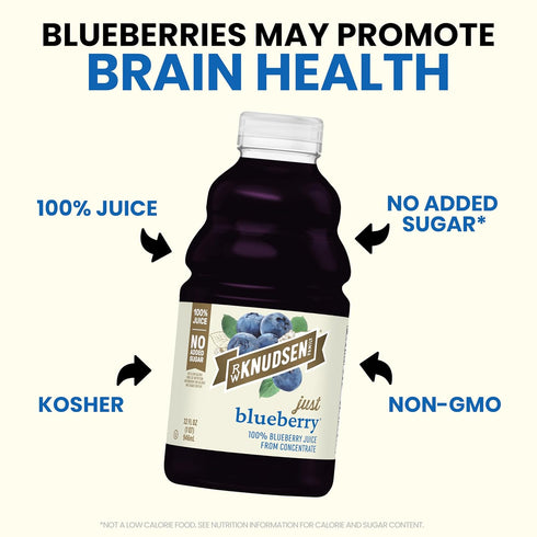 32 oz (Pack 1) R.W. Knudsen Just Blueberry Juice, fl