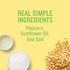 0.6 oz. (Pack 24) Angie's BOOMCHICKAPOP Sea Salt Popcorn, Individual Bag