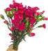 19 dark pink mini Carnations Hydroponic Flower Arrangement Gifts for home decoration birthdays anniversaries healing