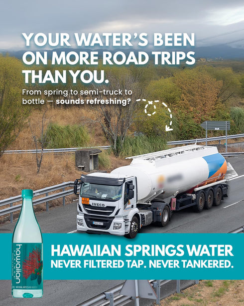 500mL (Pack 24) Hawaiian Springs- Natural Artesian Bottled Water | Volcanic Enhanced Alkaline Electrolytes | Sourced On