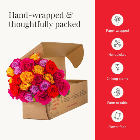 Dozen 25 BloomsyBox MultiColored Real Roses Bouquet - Two Rainbow Roses, Long Stems, Long Lasting & Hand-Tied Flower