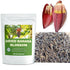 HOLFLYING 2.0 oz, Natural Dried Banana Blossom - All-Natural Banana Flowers, No Additives, No GMO