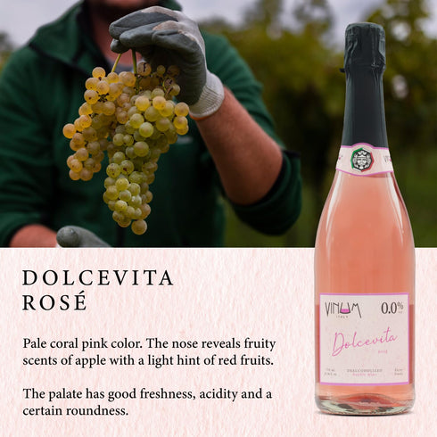 Vinum Italy 6g 30 (25 oz Non Alcoholic Wine, Alcohol-Removed Italian Wine, De-alcoholized White Wine, Sugar, Calories