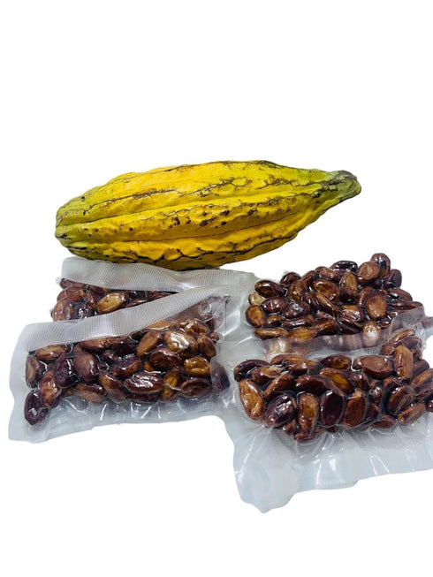 Ceylonwood Herbals 50 Pack Organic Cocoa Seeds, Cacao Seeds, Theobroma cacao Seeds