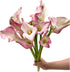 10 Next-day delivery Calla Lilies Fresh Cut Flowers Bouquet Prime Delivery Gifts for Birthday Anniversary Friendship