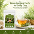 50 Count, 100% Rosemary Tea Bags - Pure Dried Rosemary Leaves, Caffeine-Free Herbal Tea, Natural & Aromatic