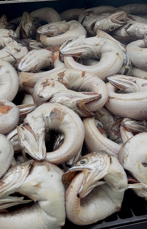 Beryl fish Smoked panla fish(Smoked Whiting Fish) Eja Kika, Eja Panla