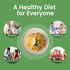 10 Packs Hethstia Konjac Rice, Shirataki Rice with Oat Fiber, Vegan, Low Calorie Food, Gluten Free, Fat Free, Keto