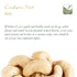 Whole Cashew Organic Nut - Unroasted and Unsalted - Organic Cashews Unsalted Cashew Unroasted Nuts