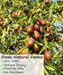 1LB/453g,Selected Delicious,100% Premium Jujube Red Dates Dried Fruit,Big & Natural