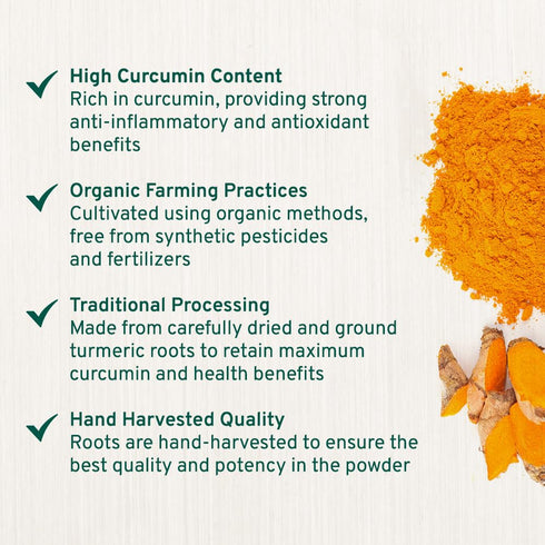 SPICE TRAIN Organic Turmeric Powder with Curcumin (397g/14oz), Lab Tested for Heavy Metal, USDA Organic, Gluten Free &