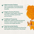 SPICE TRAIN Organic Turmeric Powder with Curcumin (397g/14oz), Lab Tested for Heavy Metal, USDA Organic, Gluten Free &