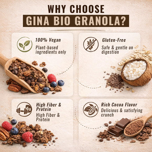GINA Bio 300g- 2pk Organic Granola with Cocoa, Pecans & Fruits for Daily Meals - Gluten Free Vegan Granola Ideal