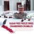 Frozen 100% 3OZ/85G Freeze Dried Cranberries Pieces, Cranberries, No Added Sugar, Natural, Freeze Dried Fruit