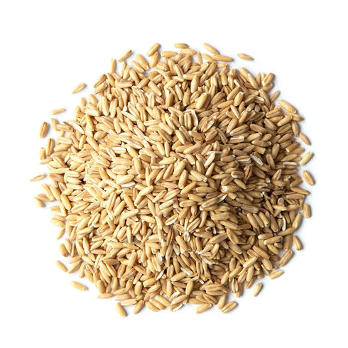 5 100% Food to Live Organic Oat Groats, Pounds Whole Grain, Non-GMO Seeds, Kosher, Raw, Non-Irradiated, Vegan, Bulk