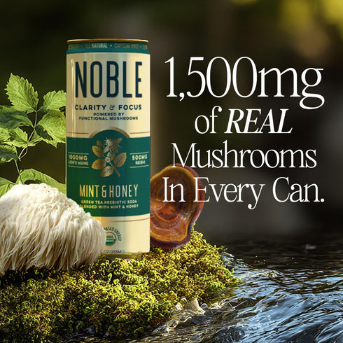 12 OZ., 12 Pack Noble Elixirs Mint & Honey Prebiotic Soda, All-Natural Nootropic Drink with USDA Organic Lions Mane