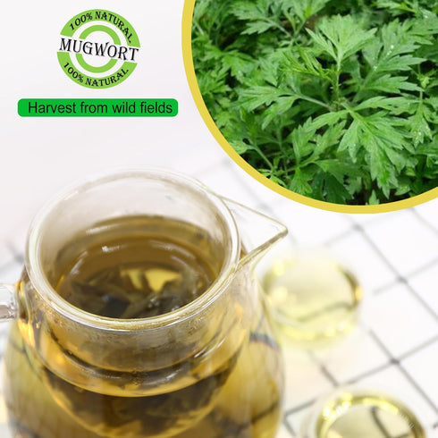 Jarteela Premium Dried Mugwort Herbs, 4oz Natural Loose Leaf for Tea, Non-GMO, Caffeine-Free
