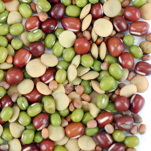 8 oz (1/2 lb) Bean Salad Sprouting Seed Mix Organic Adzuki, Mung Bean, Green Lentil & Radish Seeds for Sprouting & Home