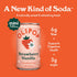 Pack Packed 7.5oz (6-Cans) OLIPOP Minis Prebiotic Soda Pop, Strawberry Vanilla, Pantry with Prebiotics, Fiber