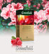 Summer 100 Greenfield Herbal Tea Bouquet - Caffeine-Free Hibiscus Raspberry Rosehip Fruit Tea, Individually Wrapped Tea
