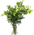 5 Next day delivery Green Eranthis Fresh Cut Flowers Hydroponic Flower Arrangement Long Flowering Period