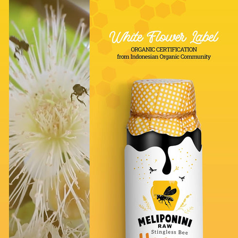 335 Meliponini - Stingless Bee Honey, Antioxidant-Rich & Raw, A Powerful Alternative to Manuka, Tasty, Pure, Sweet