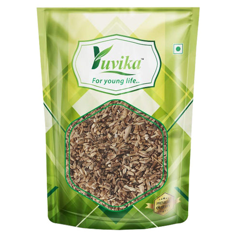 Yuvika Herbs YUVIKA Kasni Seeds - Cichorium Intybus - Endive | Chicory (200 GM)